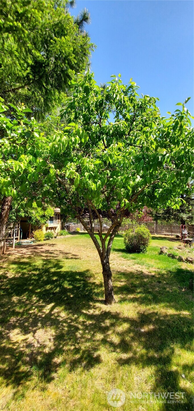 223 Goldenpine Goldendale, WA 98620 - Photo 22 of 27