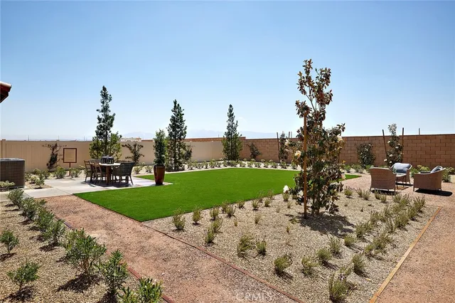 a view of a park with large trees