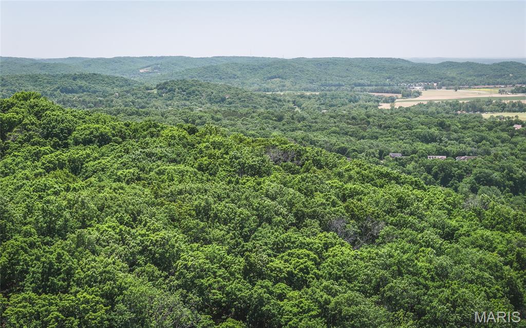 3000 Byrnes Mill Road High Ridge, MO 63049 - Photo 19 of 19