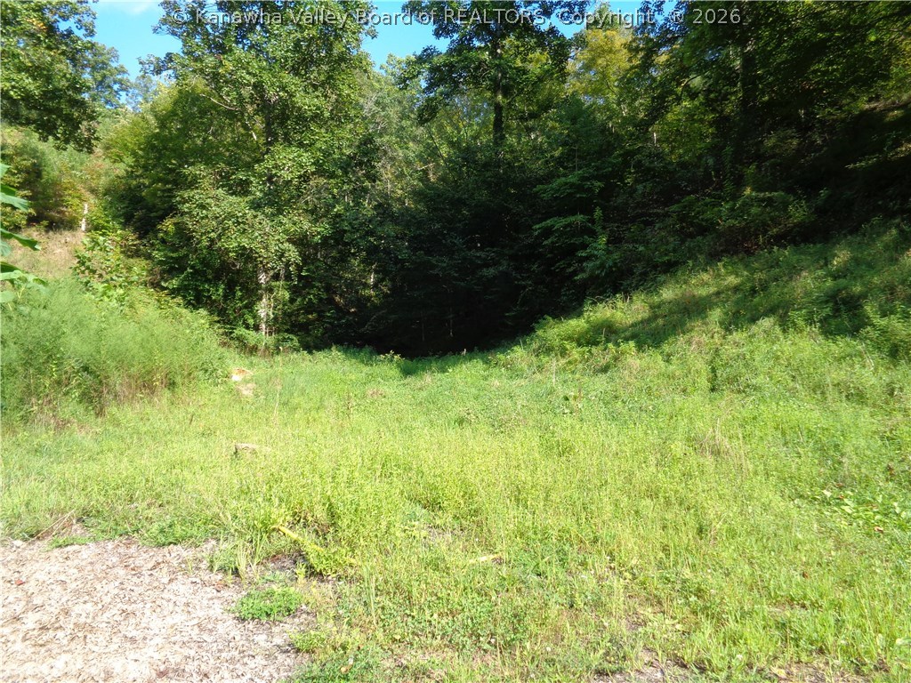 0 Fudge Branch Elkview, WV 25071 - Photo 2 of 8 Gallery Image 2