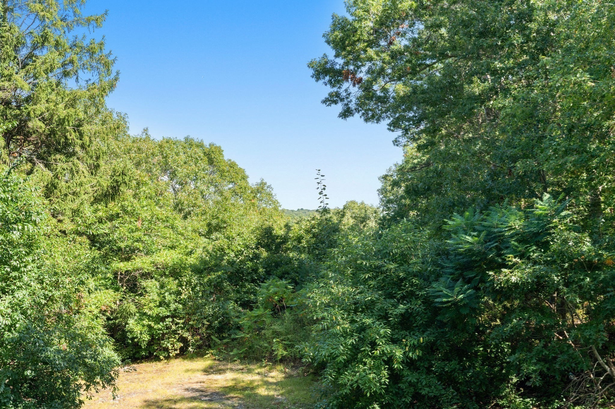 46 Wayne Road Bourne, MA 02532 - Photo 32 of 34 Gallery Image 32