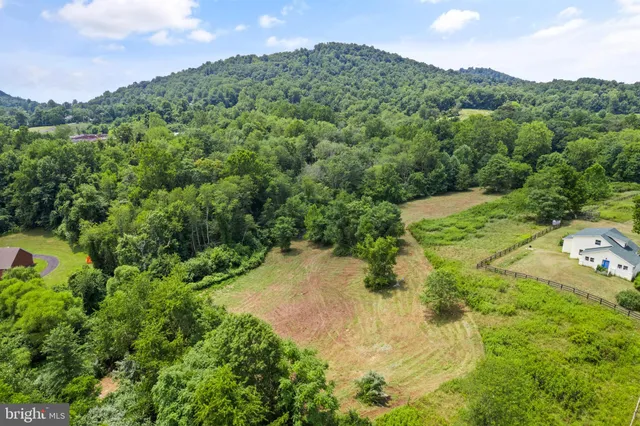 a view of a garden with a building in the background