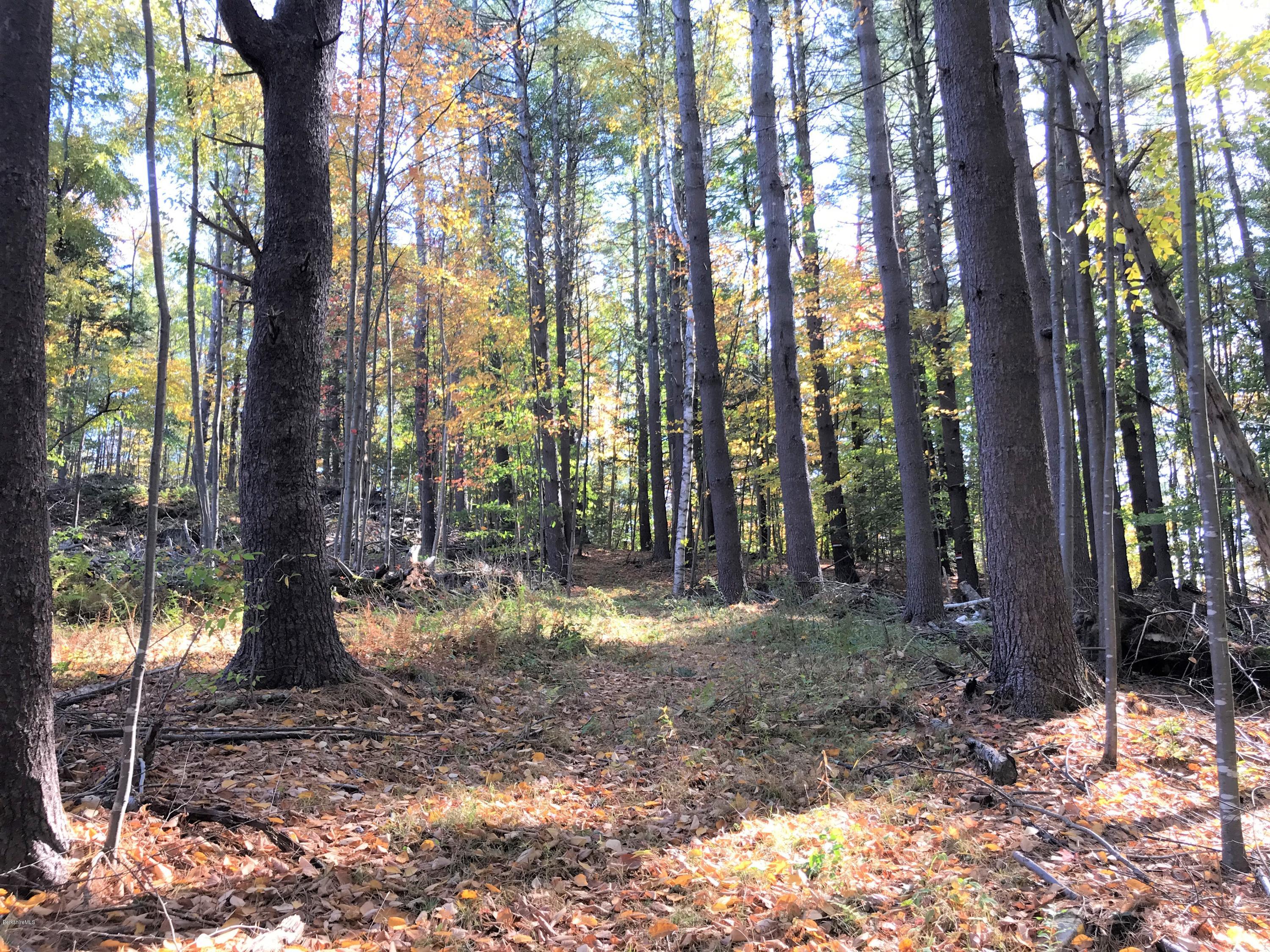 0 Thompson Road Conway, MA 01341 - Photo 1 of 13 IMG_1923 (4)