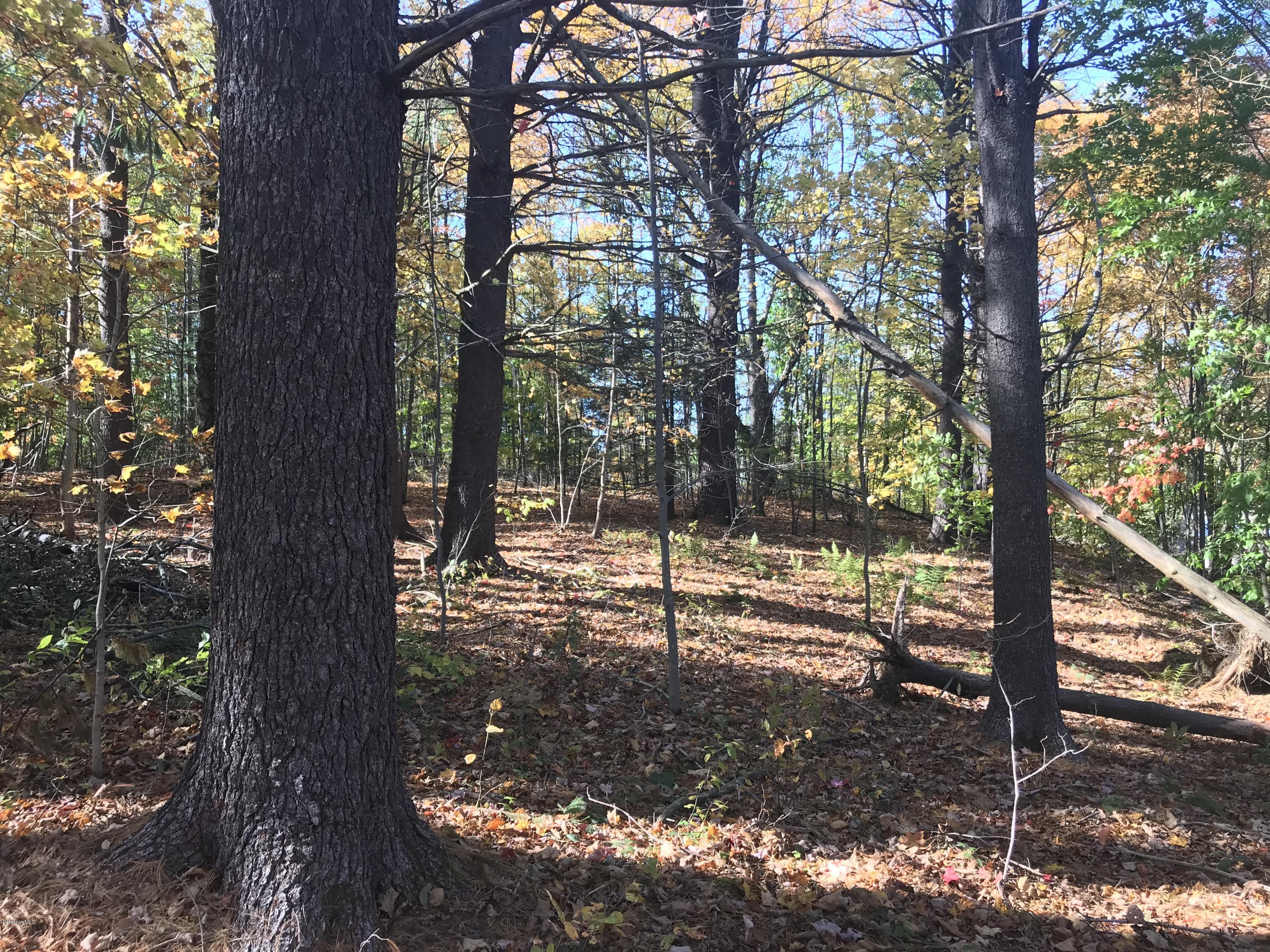 0 Thompson Road Conway, MA 01341 - Photo 3 of 13 IMG_1940