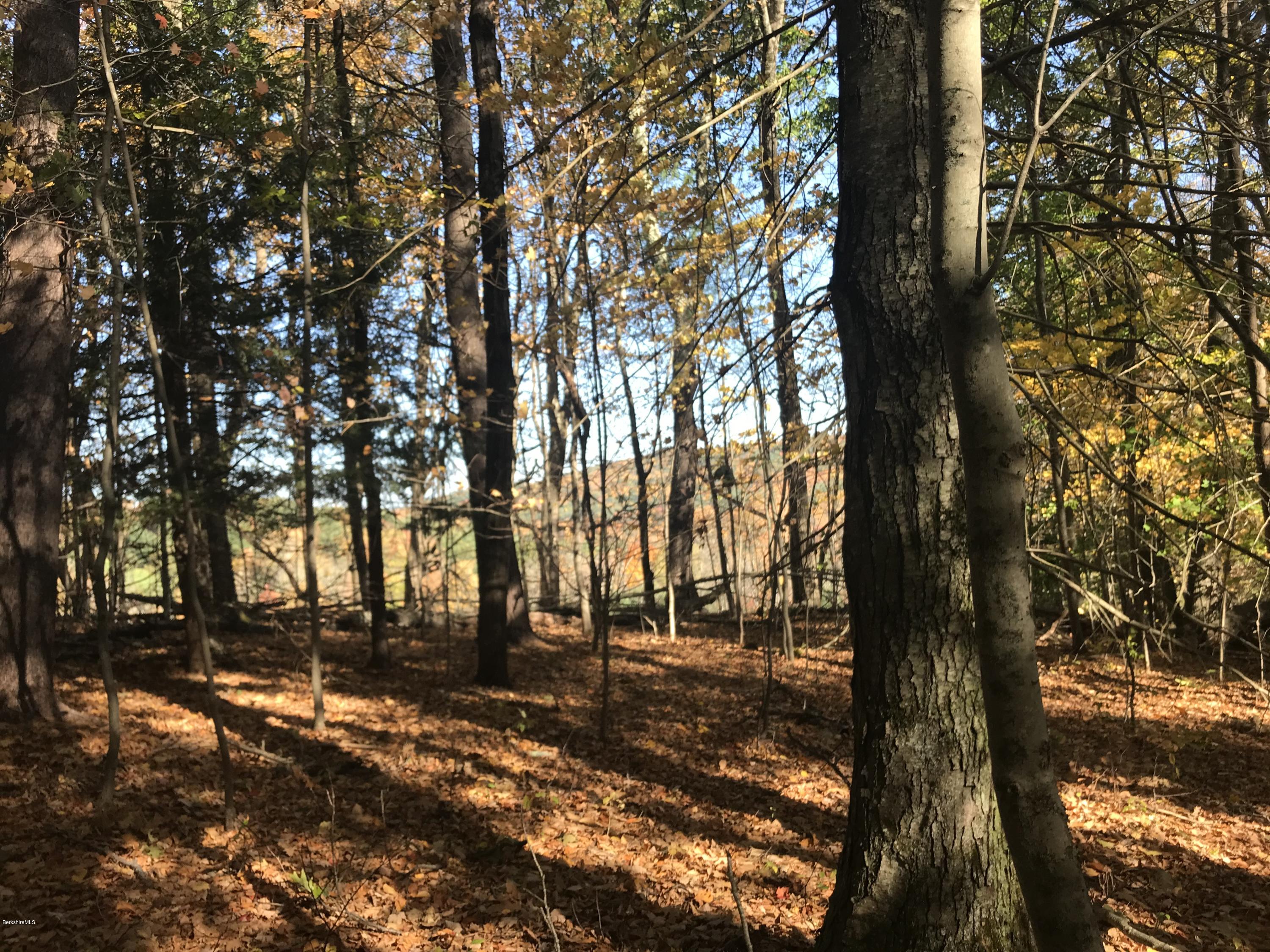 0 Thompson Road Conway, MA 01341 - Photo 4 of 13 IMG_1931