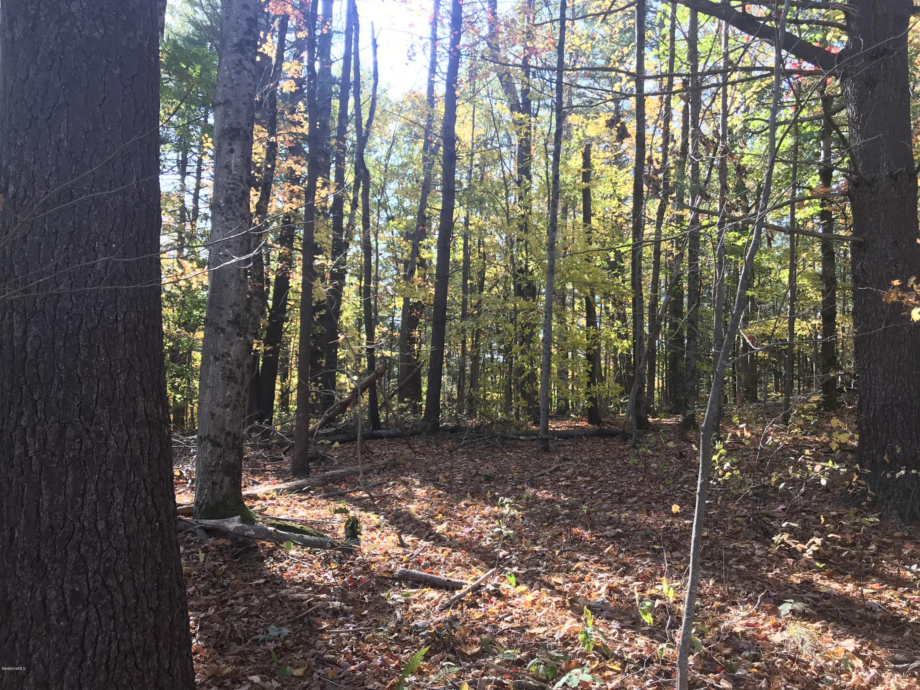 0 Thompson Road Conway, MA 01341 - Photo 5 of 13 IMG_1938
