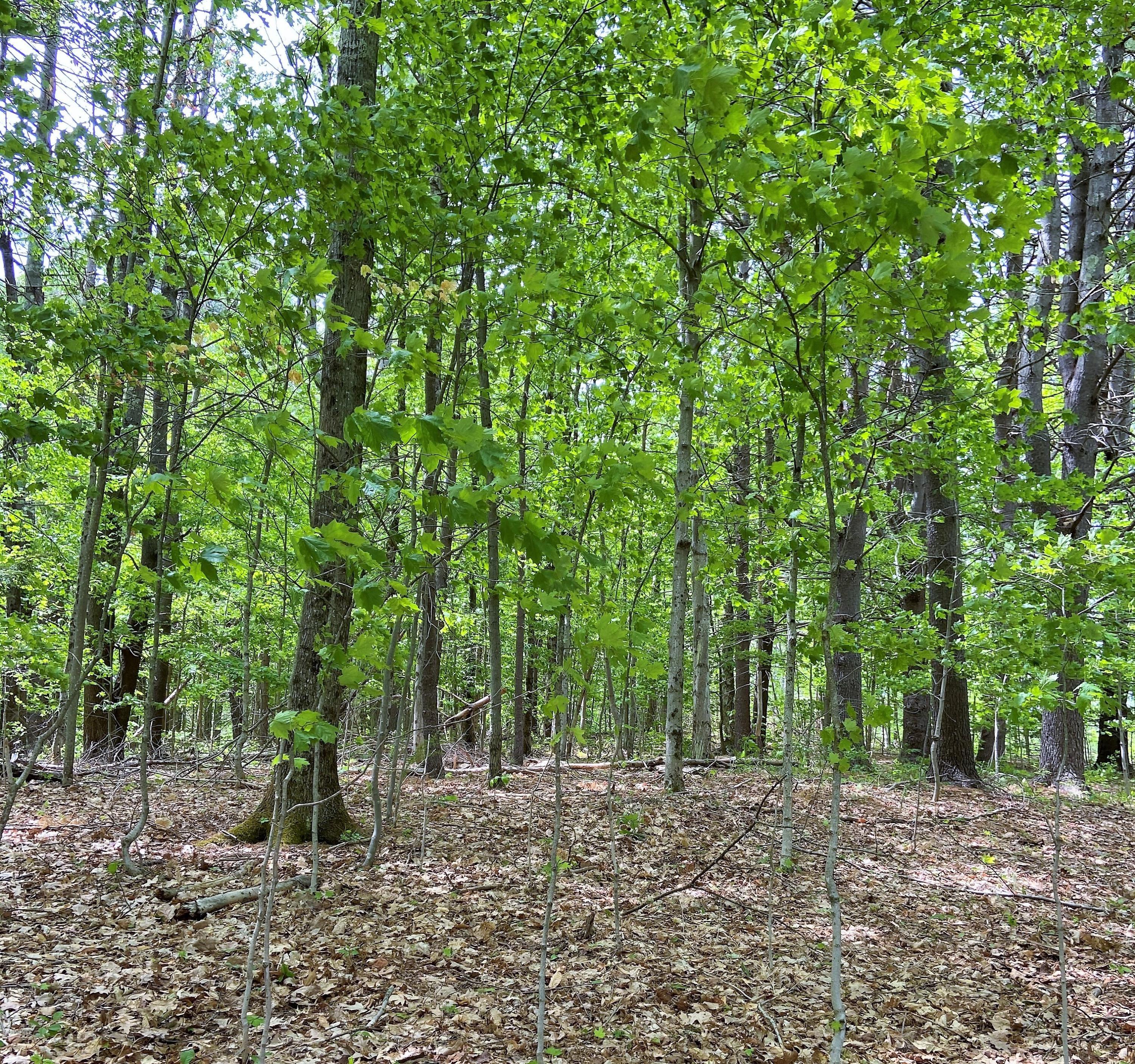 0 Thompson Road Conway, MA 01341 - Photo 10 of 13 lot pic3a