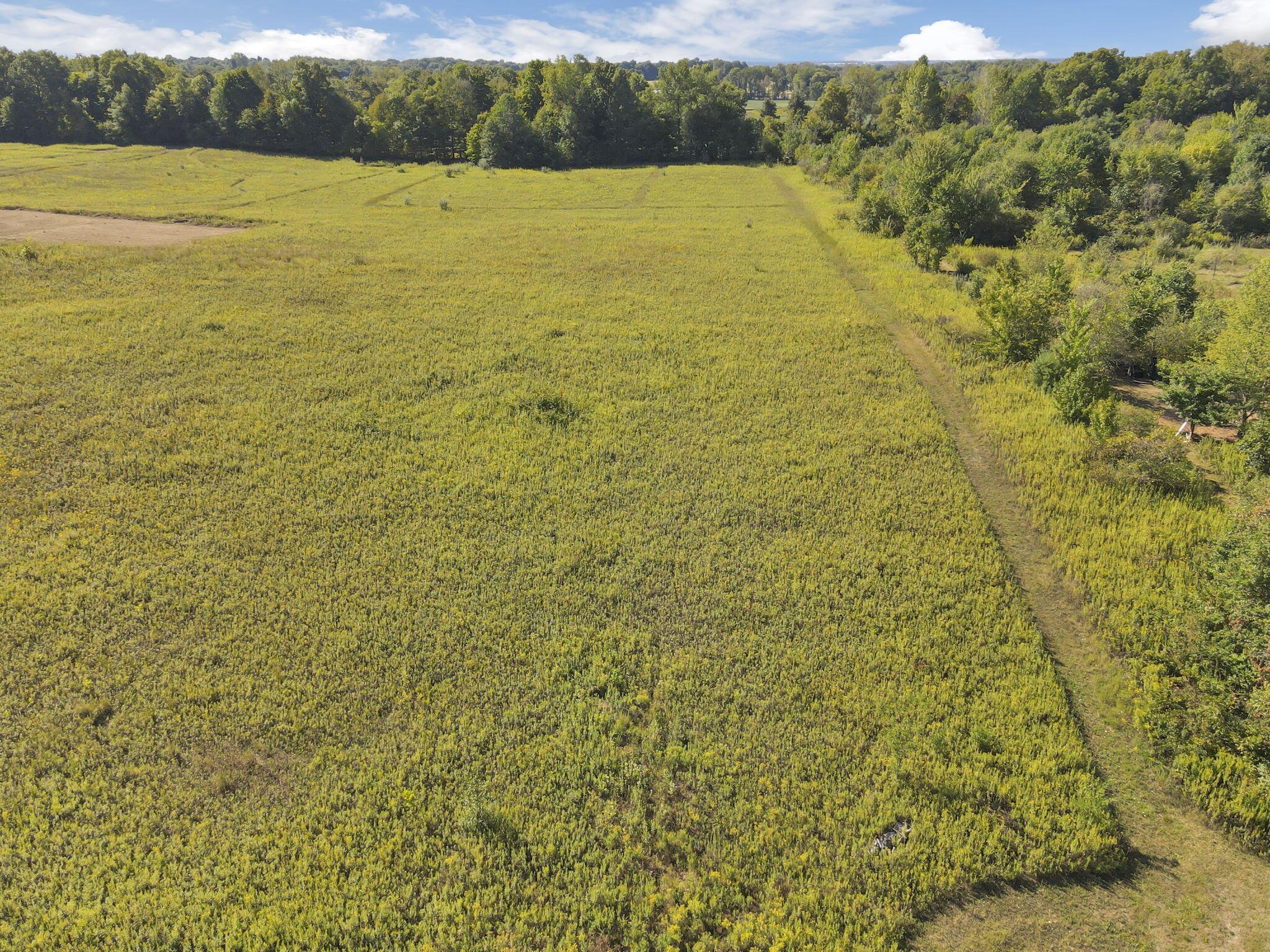 11261 Reussner Road Southwest Pataskala, OH 43062 - Photo 65 of 72 84-web-or-mls-dji_fly_20240905_110114_26