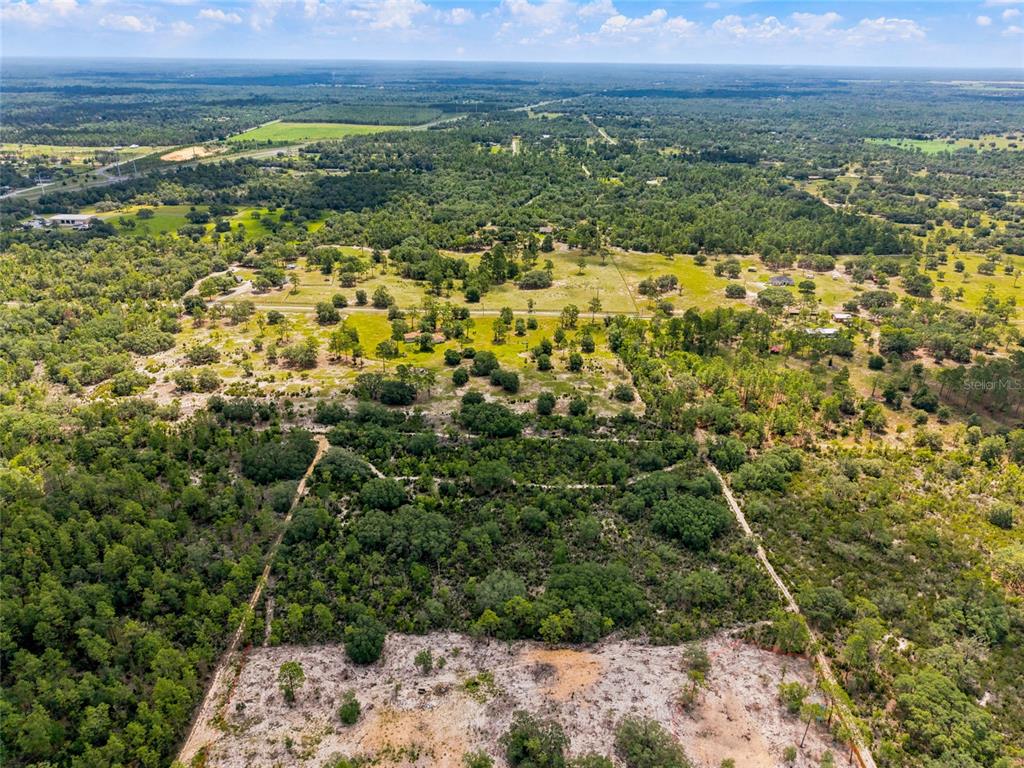 0 Northeast 56th Street Bronson, FL 32621 - Photo 9 of 20
