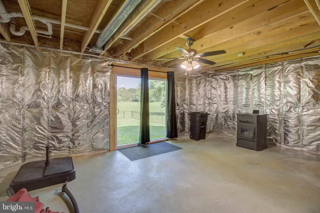 a view of a park with large trees