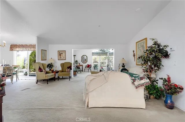 a living room with furniture potted plant and a window
