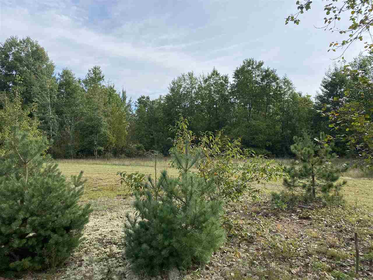 5221 West County Line Road Buckley, MI 49620 - Photo 29 of 40 1892935-28.JPG