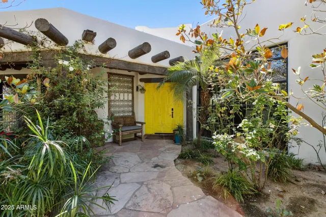 a view of a yard with plants and trees