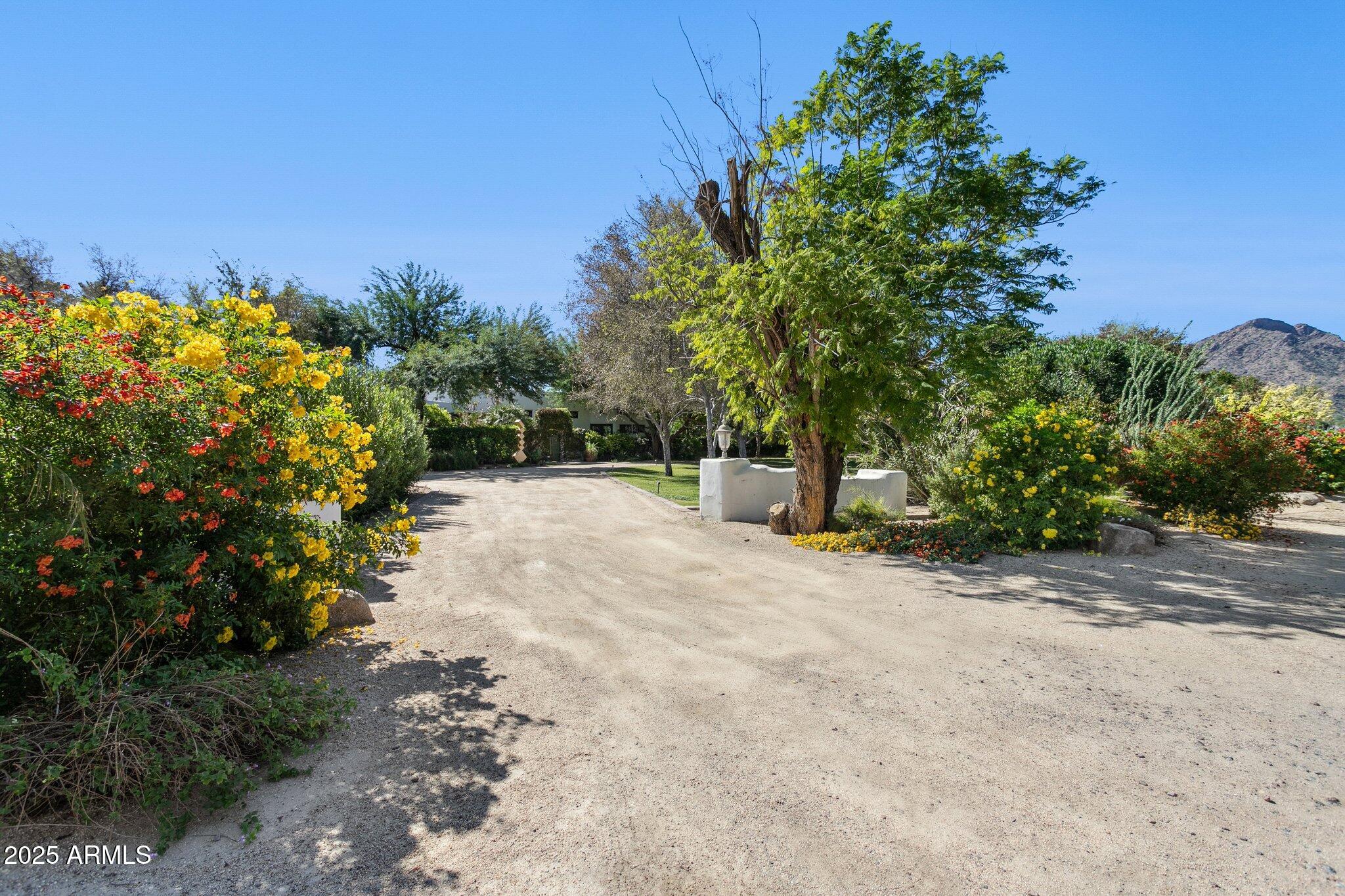 7005 East Jackrabbit Road Paradise Valley, AZ 85253 - Photo 3 of 61 a view of a yard with plants and trees