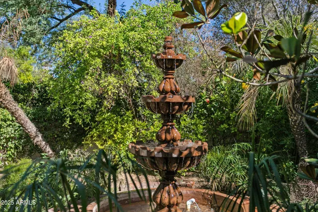 a view of a garden with lawn chairs under an umbrella