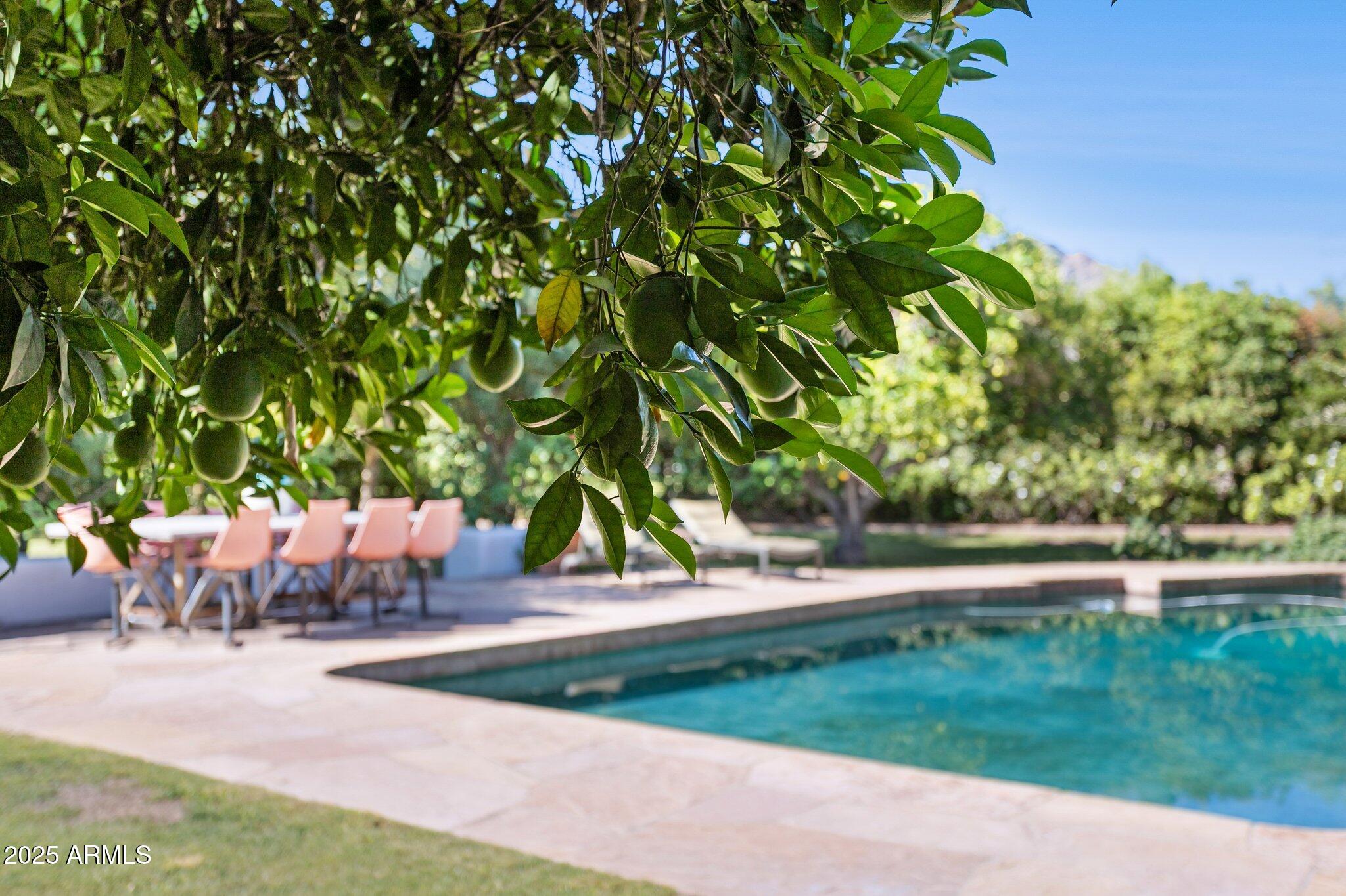 7005 East Jackrabbit Road Paradise Valley, AZ 85253 - Photo 44 of 61 a view of a park