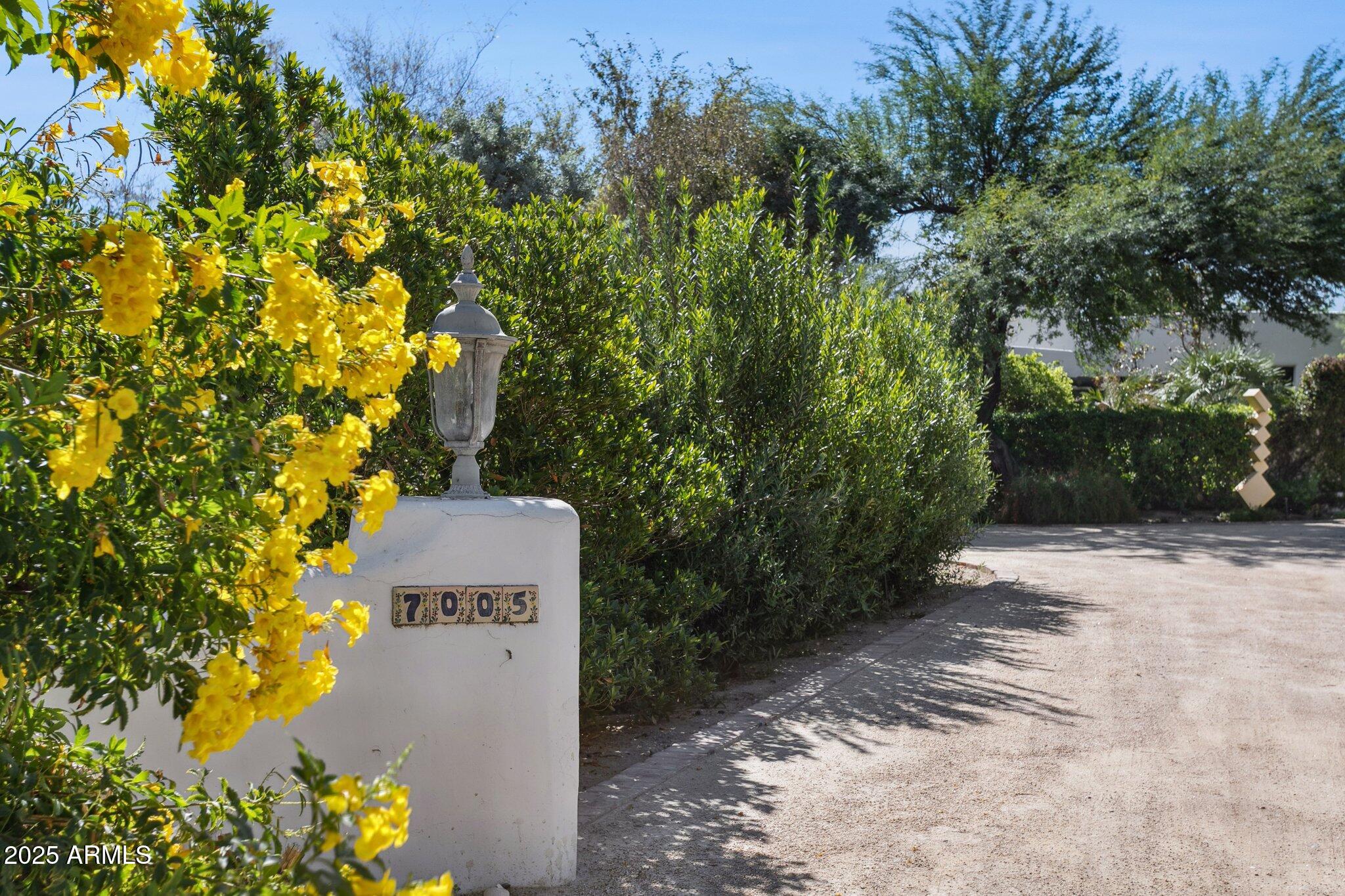 7005 East Jackrabbit Road Paradise Valley, AZ 85253 - Photo 4 of 61 a view of a yard with plants and trees