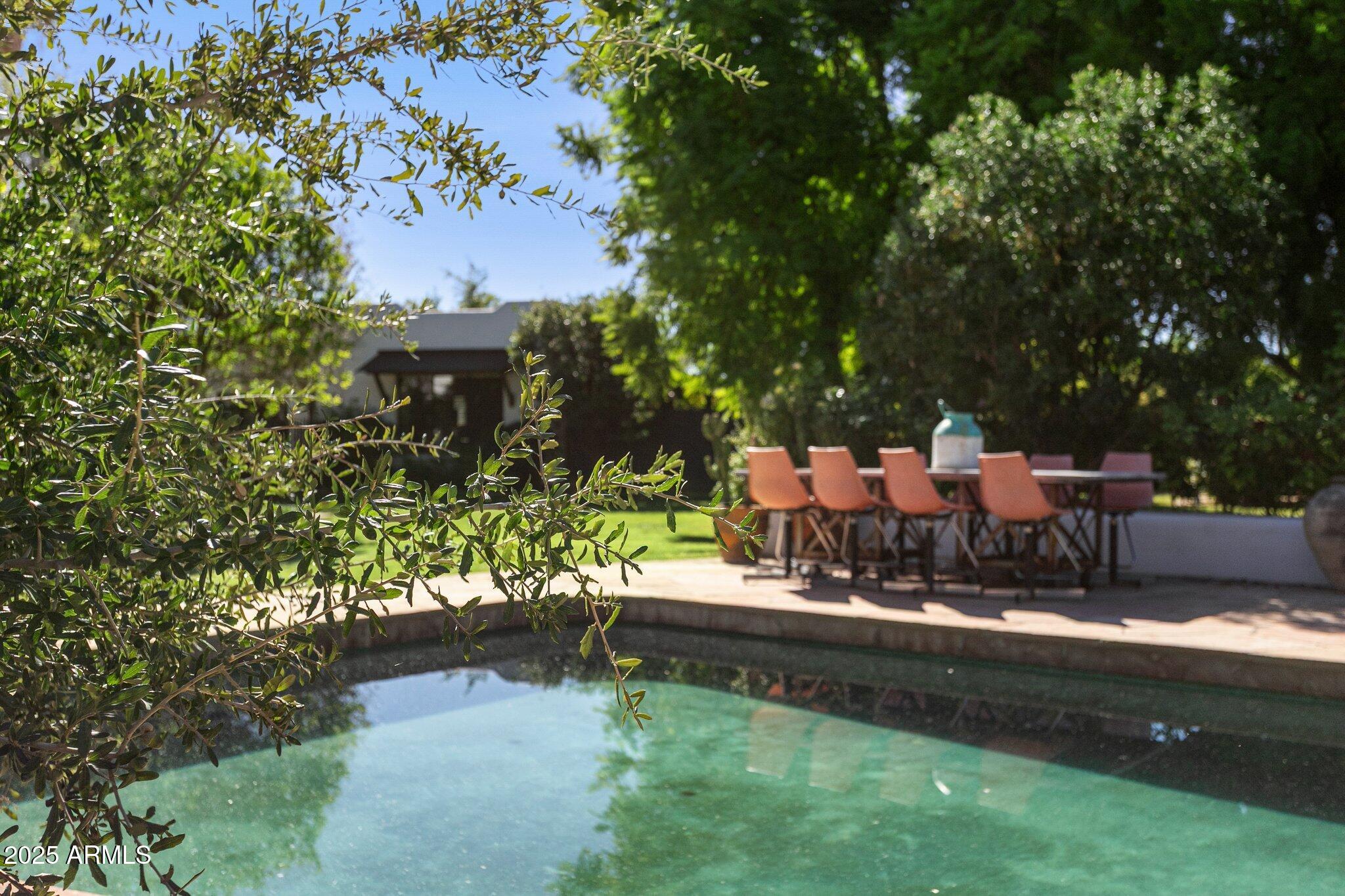 7005 East Jackrabbit Road Paradise Valley, AZ 85253 - Photo 50 of 61 a view of a garden with lawn chairs under an umbrella
