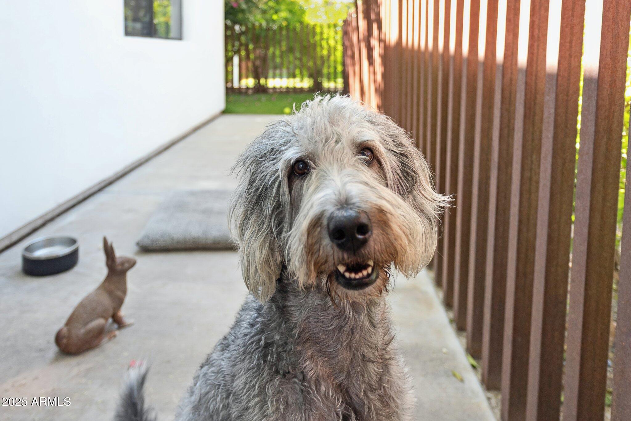 7005 East Jackrabbit Road Paradise Valley, AZ 85253 - Photo 54 of 61 61-web-or-mls-7005-e-jackrabbit-rd