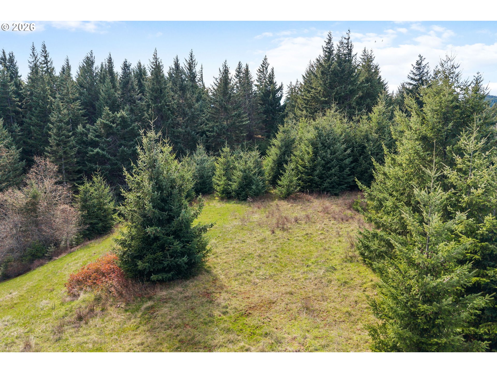 5195 York Hill Road Hood River, OR 97031 - Photo 11 of 31 a view of a yard with a tree