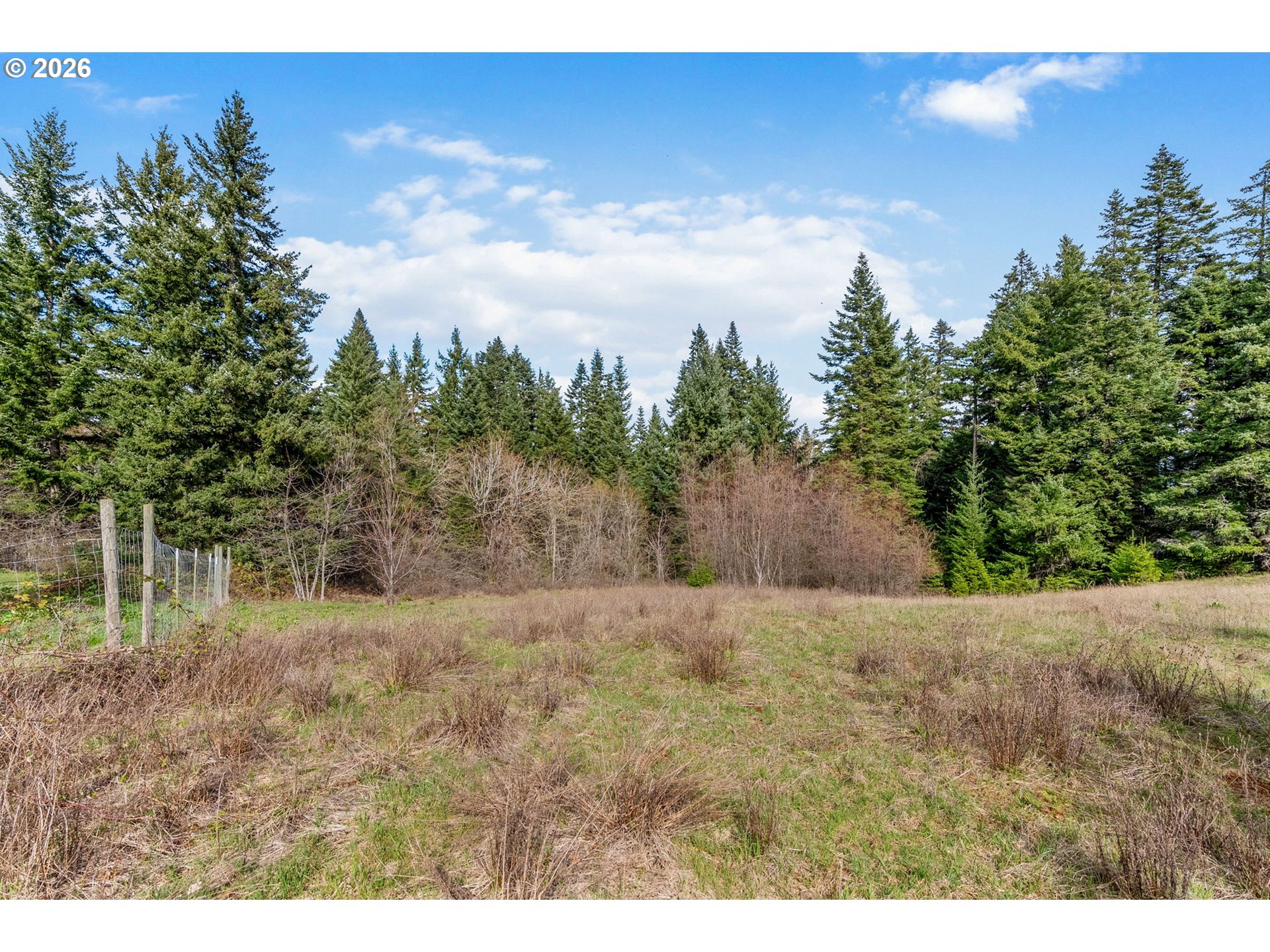 5195 York Hill Road Hood River, OR 97031 - Photo 17 of 31 a view of a yard with trees in the background