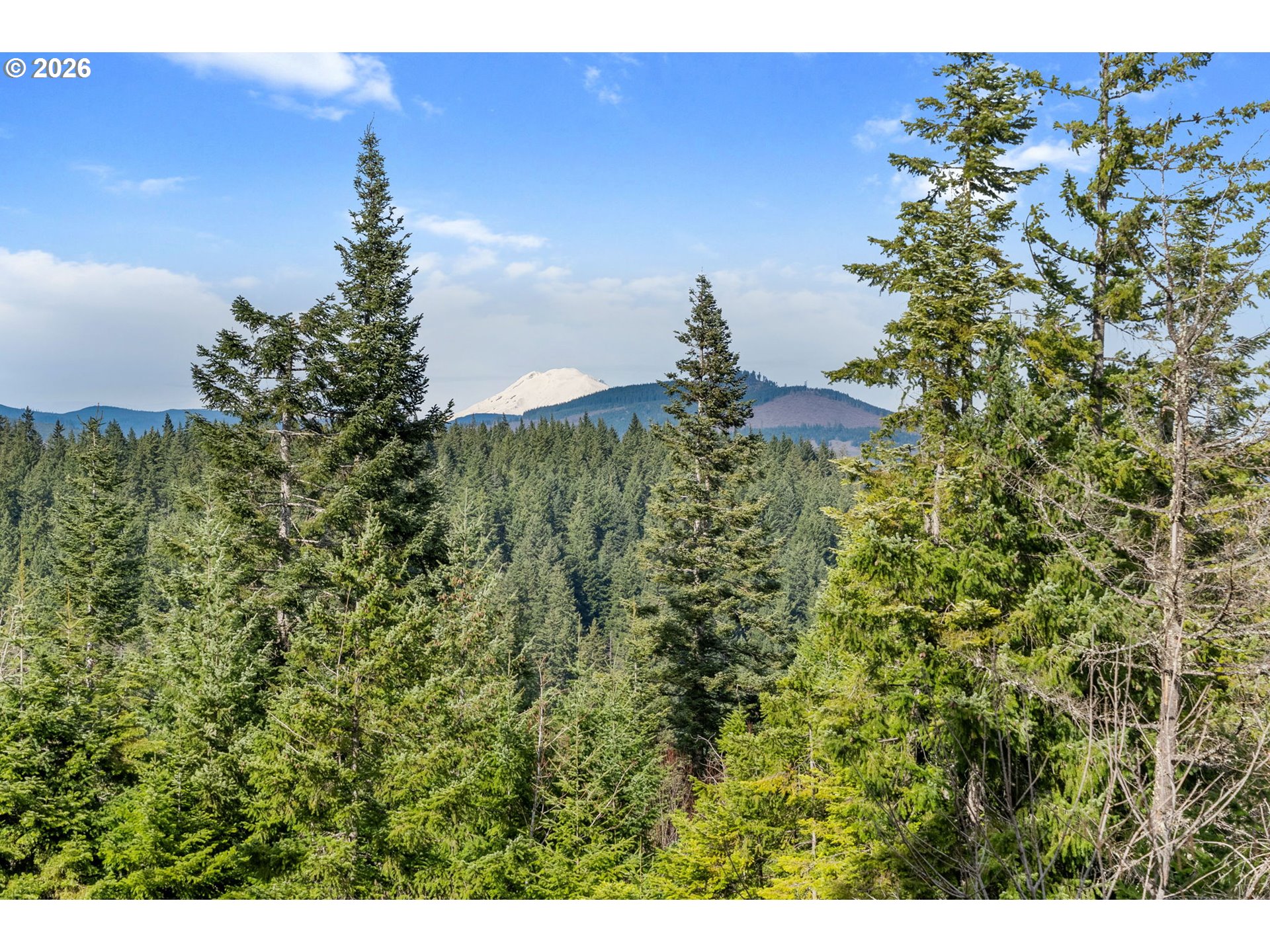 5195 York Hill Road Hood River, OR 97031 - Photo 28 of 31 a view of a lake