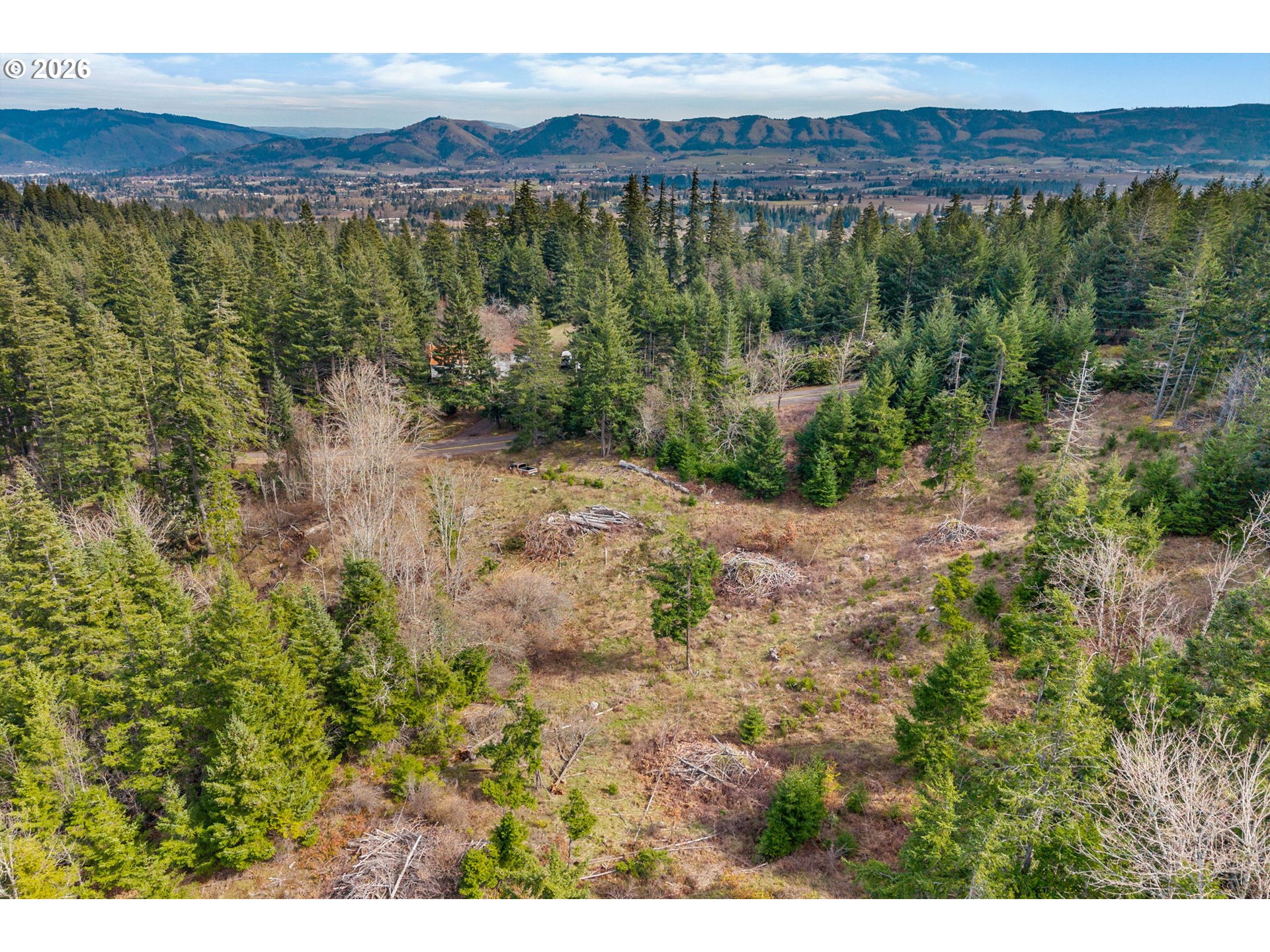 5195 York Hill Road Hood River, OR 97031 - Photo 4 of 31 a view of a forest with a mountain