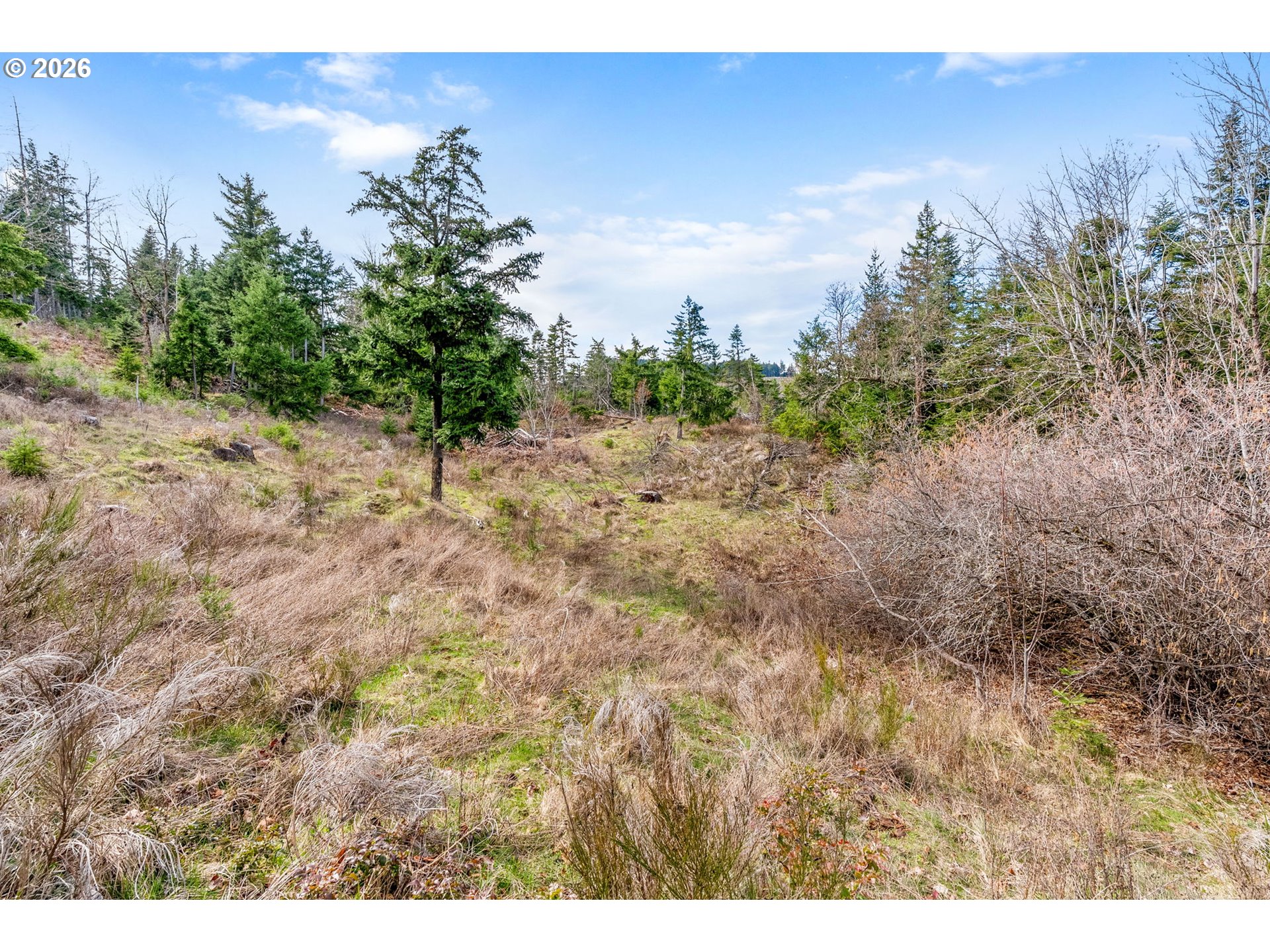 5195 York Hill Road Hood River, OR 97031 - Photo 6 of 31 a view of a dry yard with trees in the background