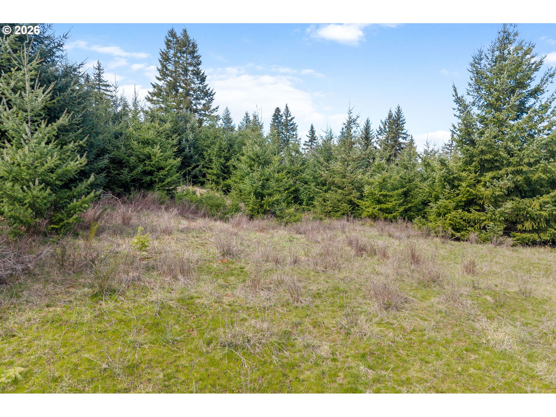 5195 York Hill Road Hood River, OR 97031 - Photo 10 of 31 a view of a dry yard with trees in the background