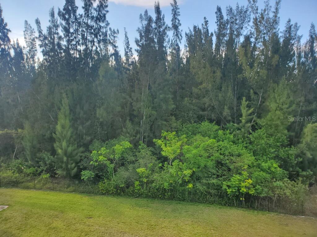 112 Northeast 53rd Lane Bronson, FL 32621 - Photo 1 of 1
