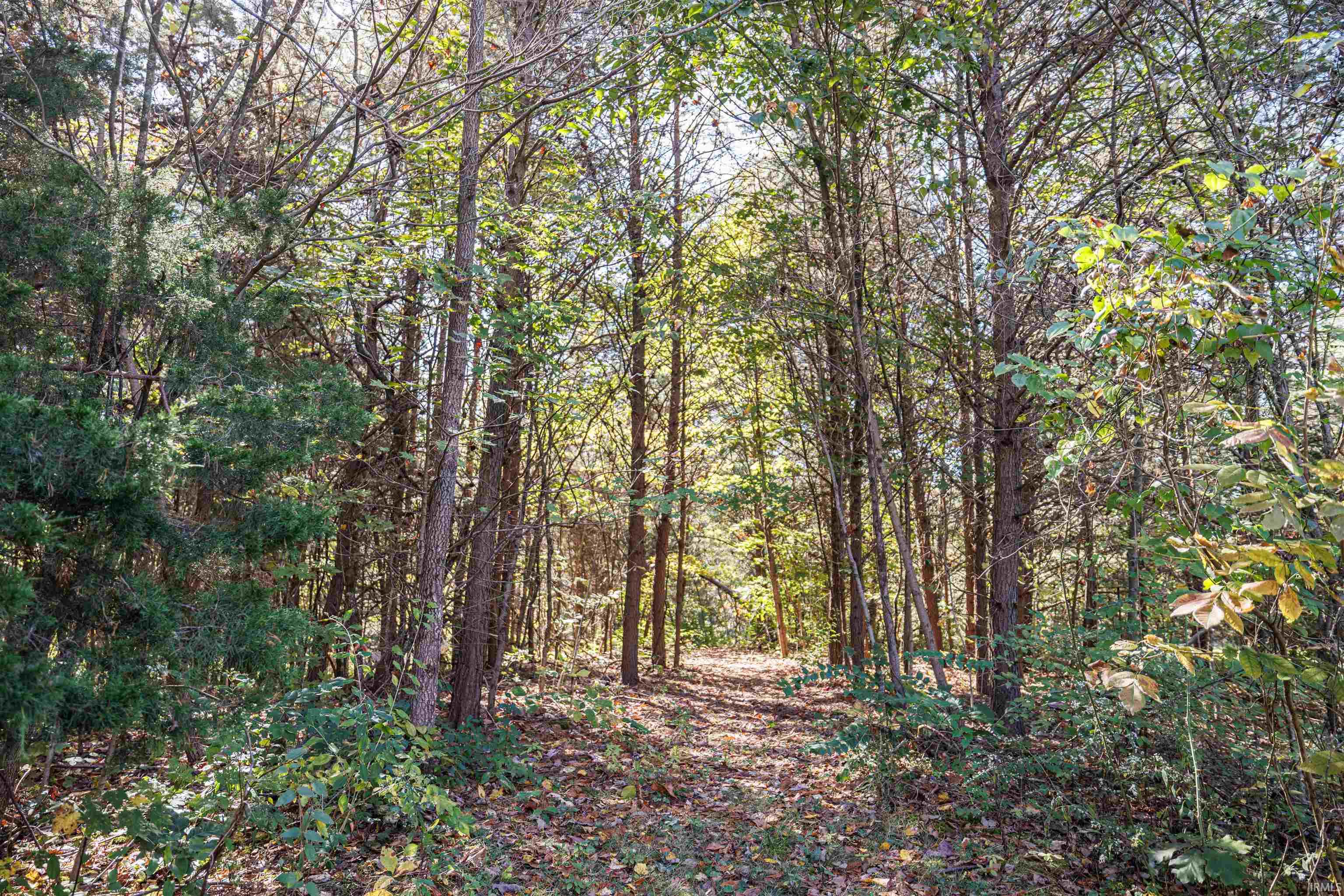 2-3708 State Ferry Road Solsberry, IN 47459 - Photo 2 of 15 Gallery Image 2