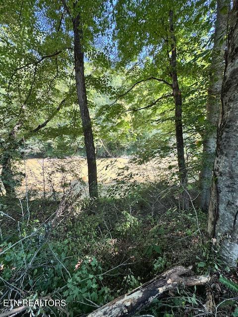 0 New River Road Huntsville, TN 37756 - Photo 19 of 25 IMG_6248