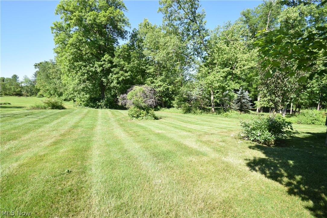 4794 Foote Road Medina, OH 44256 - Photo 27 of 28 Back Yard