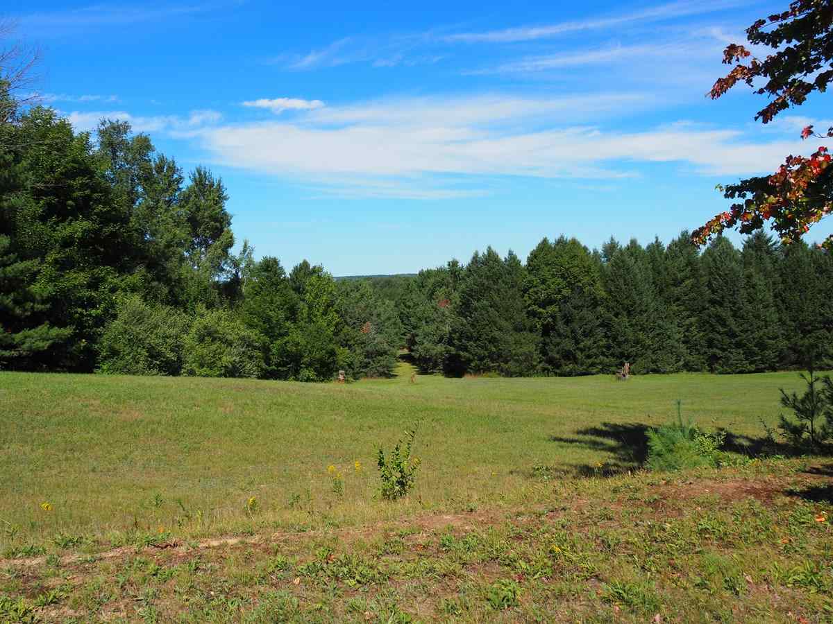 4106 Waug Road Benzonia, MI 49616 - Photo 5 of 30