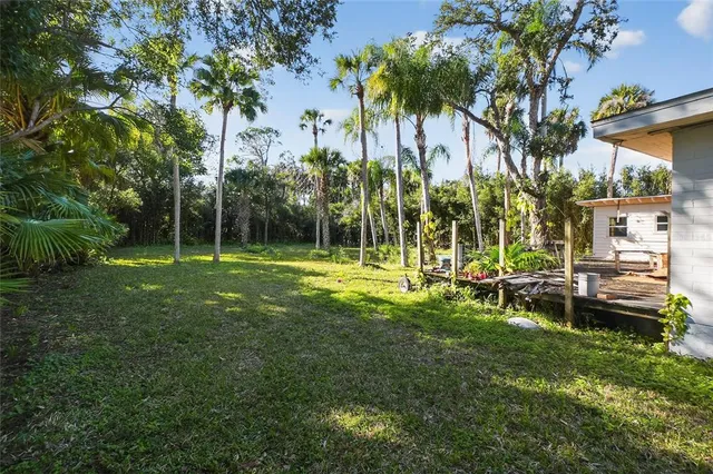 a view of a yard with palm trees