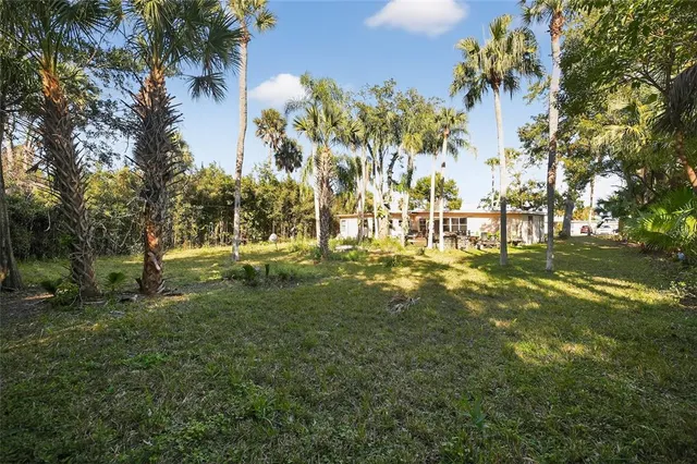 a view of a yard with palm trees
