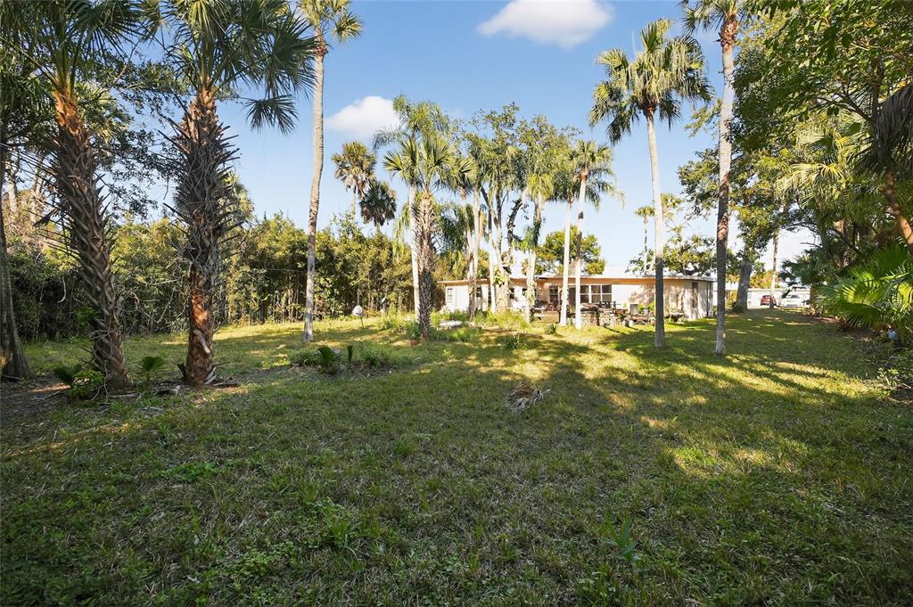 1630 Riverside Drive Daytona Beach, FL 32117 - Photo 11 of 62 a view of yard