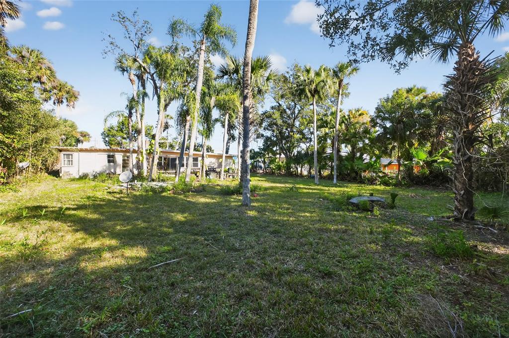 1630 Riverside Drive Daytona Beach, FL 32117 - Photo 12 of 62 a garden with lots of trees