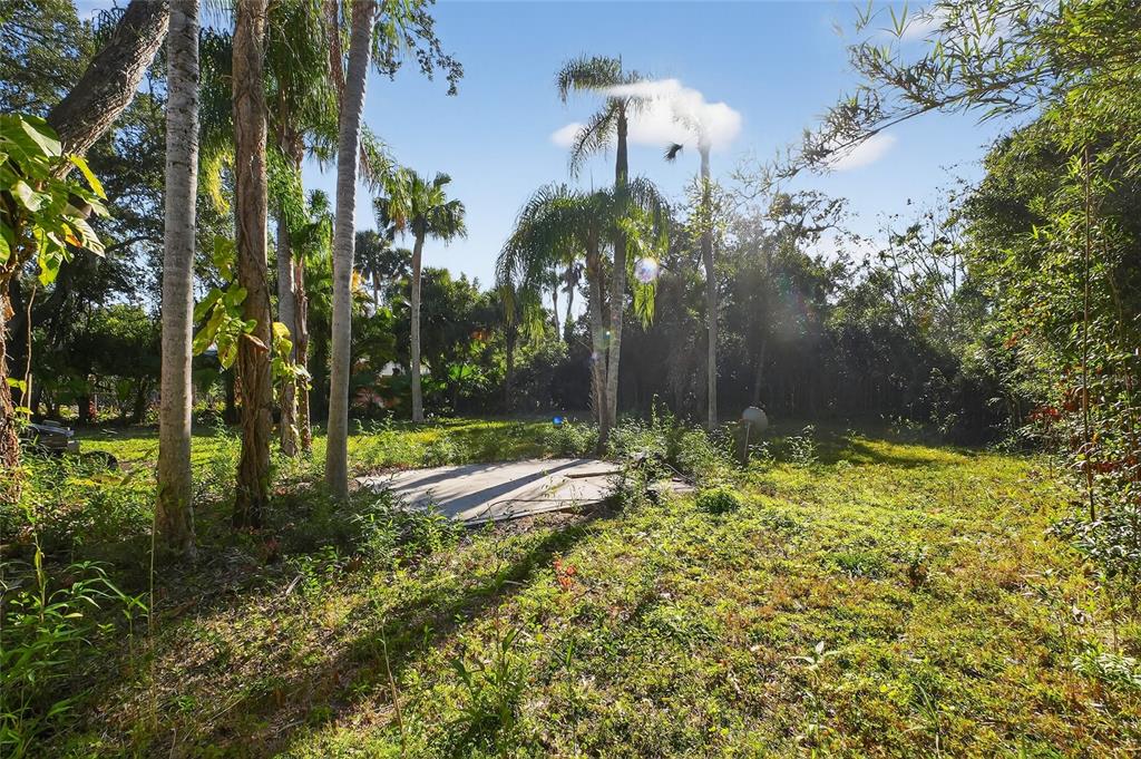 1630 Riverside Drive Daytona Beach, FL 32117 - Photo 14 of 62 a view of a yard with palm trees