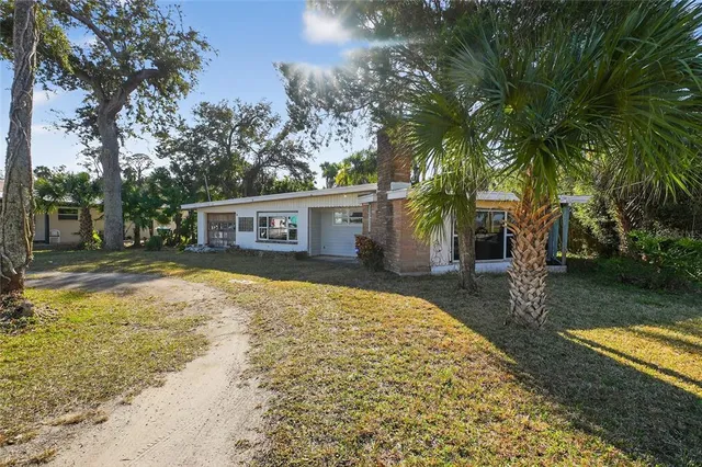 a view of a park with a tree