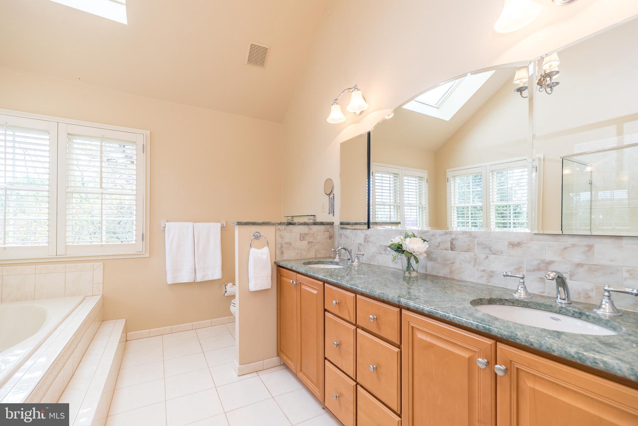 2517 Lockleigh Road Jamison, PA 18929 - Photo 41 of 72 Primary Bath