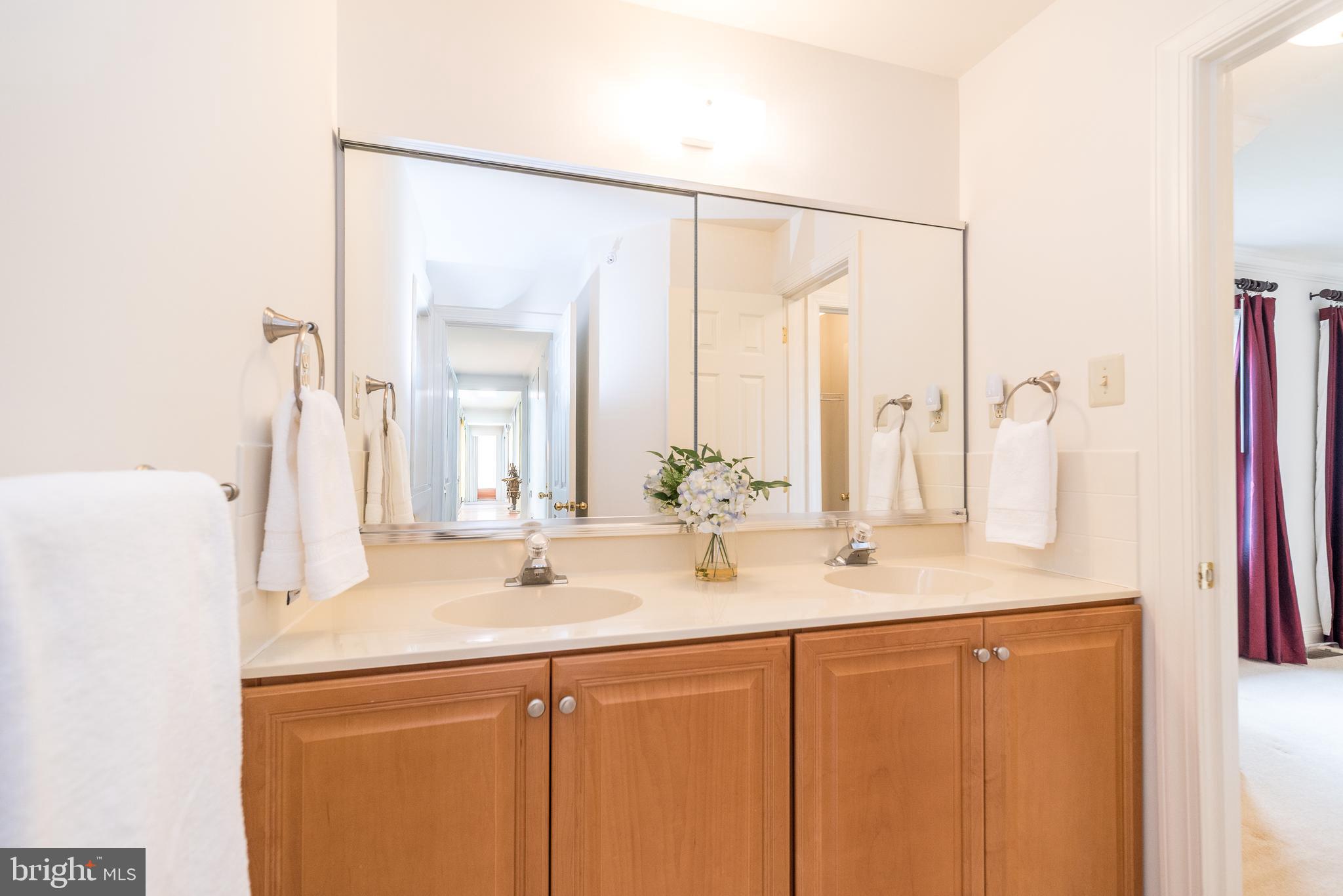 2517 Lockleigh Road Jamison, PA 18929 - Photo 48 of 72 a bathroom with a sink and a mirror