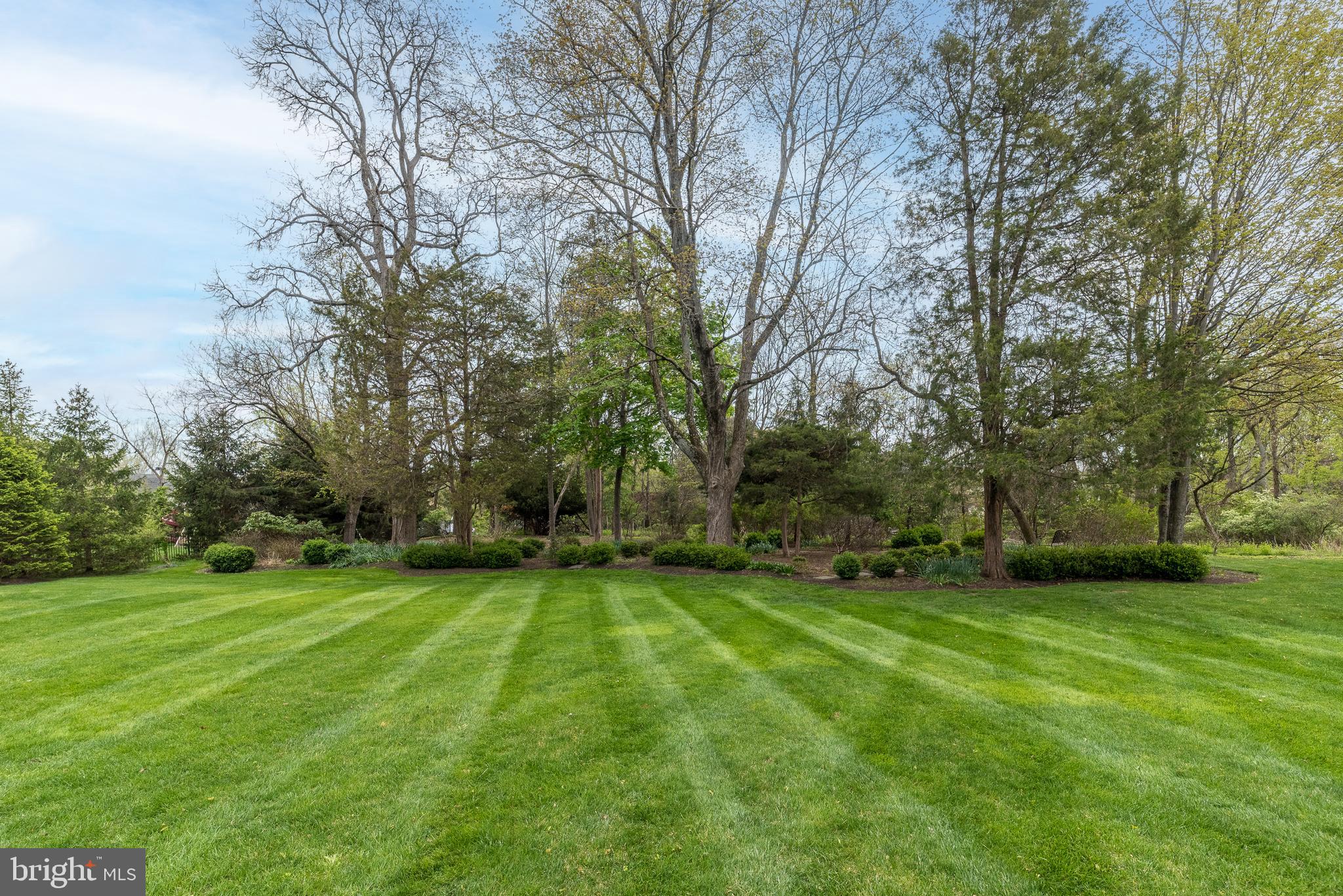 2517 Lockleigh Road Jamison, PA 18929 - Photo 68 of 72 a view of a trees with a big yard