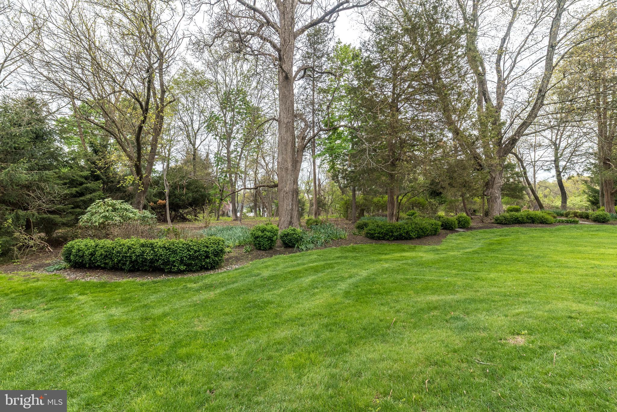 2517 Lockleigh Road Jamison, PA 18929 - Photo 70 of 72 a view of a garden with large trees