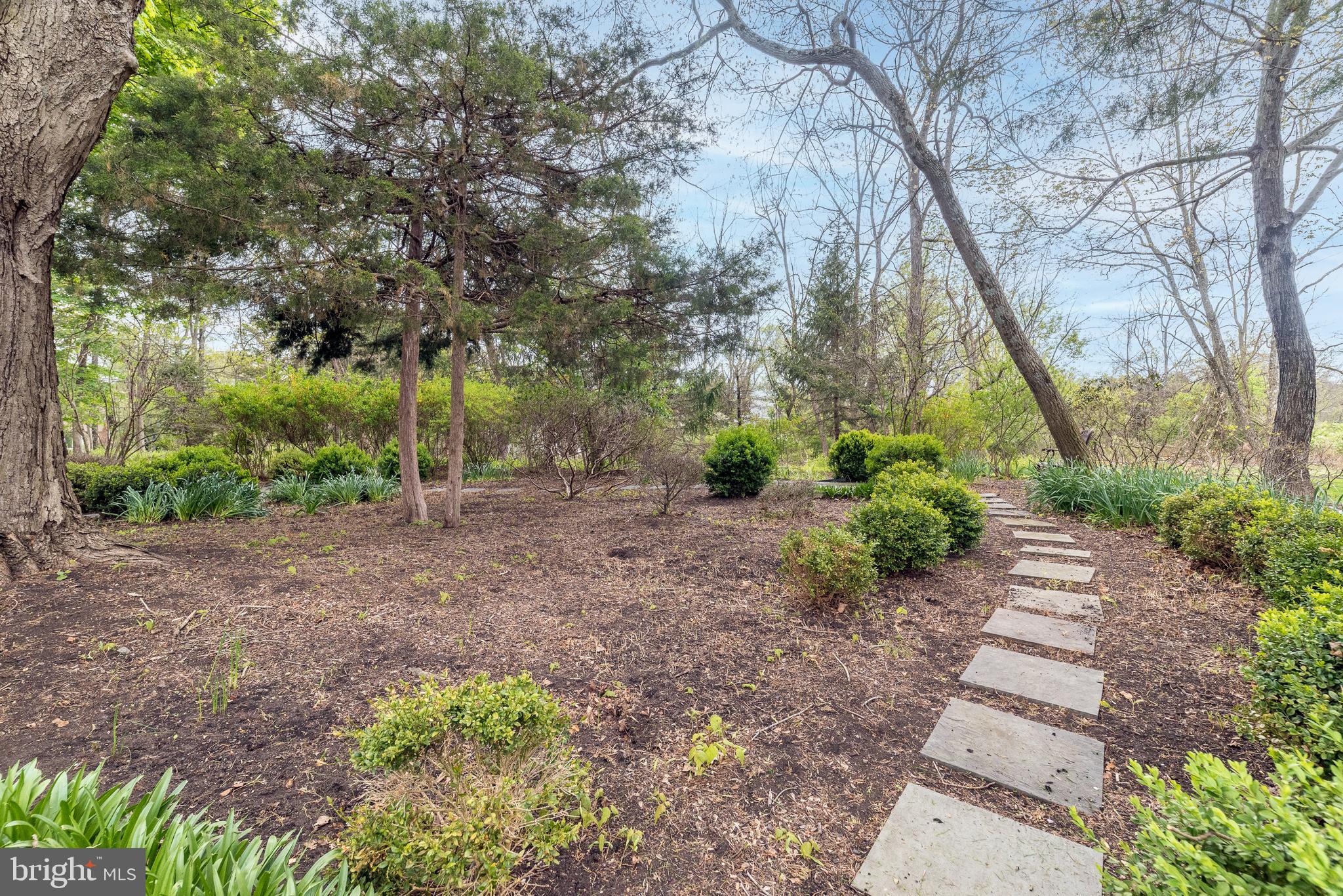 2517 Lockleigh Road Jamison, PA 18929 - Photo 72 of 72 a view of a garden with trees