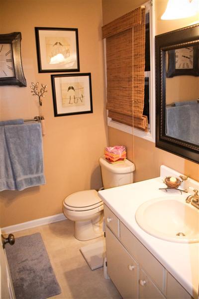 1670 Millbridge Road Salem, VA 24153 - Photo 32 of 47 Master Bath 3