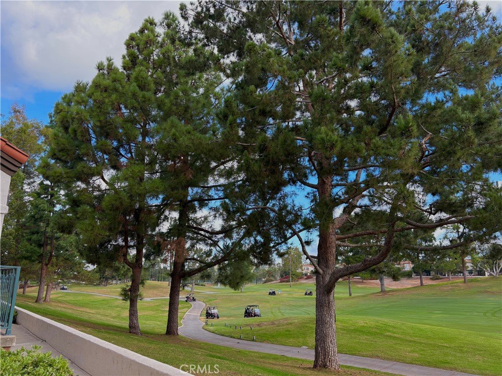 2827 Player Tustin, CA 92782 - Photo 7 of 15 a view of a yard with a tree