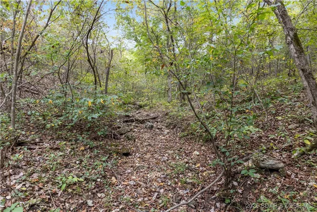 $198,195 | 5 State Road, Edwards, MO 65326