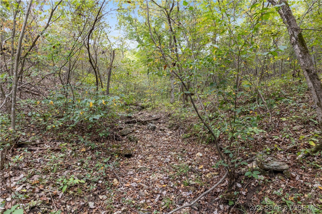 5 State Road Edwards, MO 65326 - Photo 17 of 17