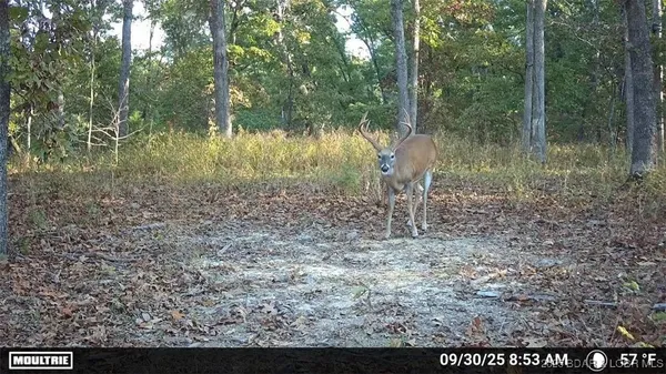 $198,195 | 5 State Road, Edwards, MO 65326